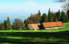 fruitière de Bevaix