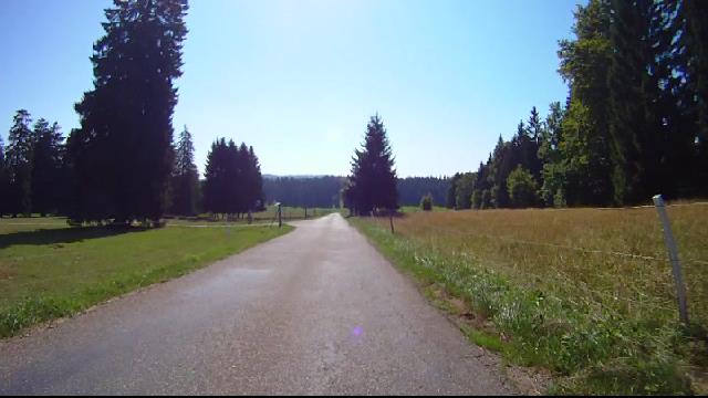 Les Franches Montagnes