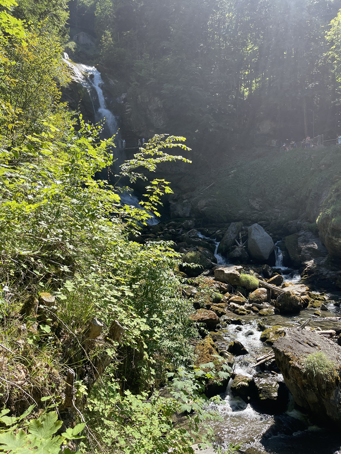images panoramique
