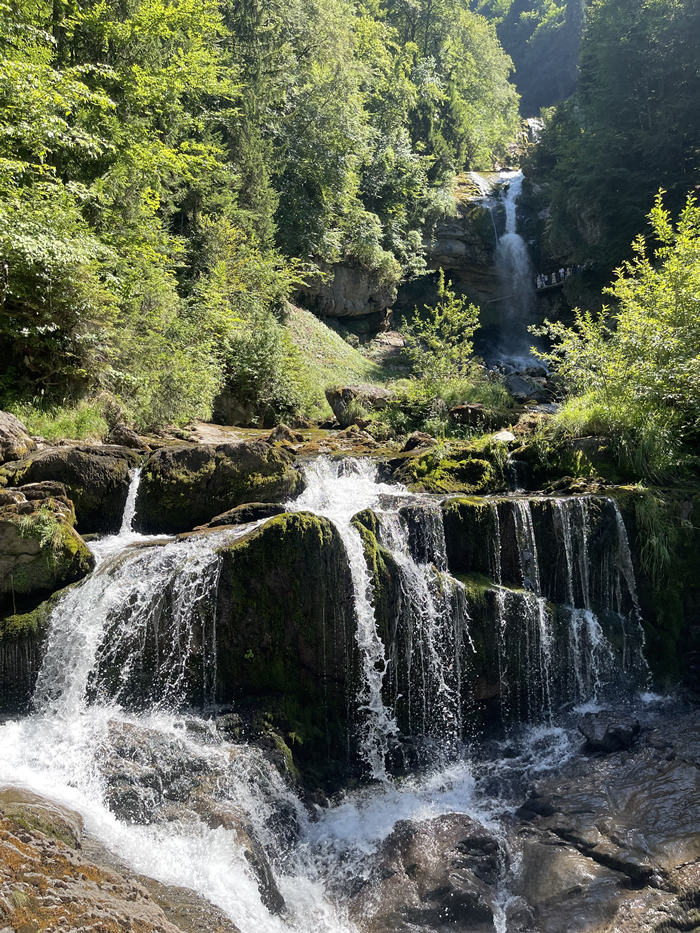 images panoramique
