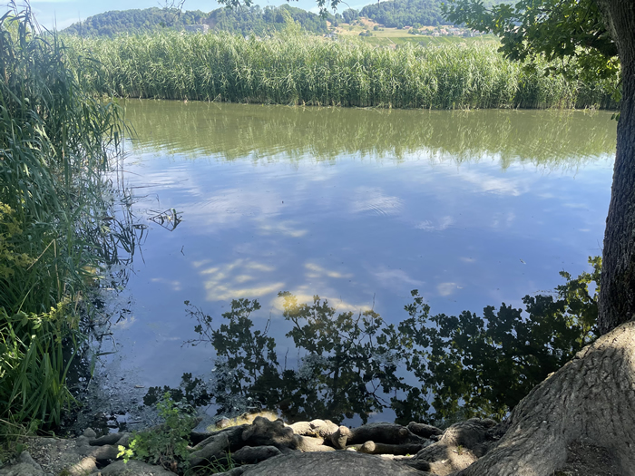 images panoramique