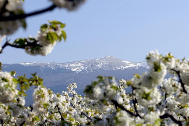 ventoux